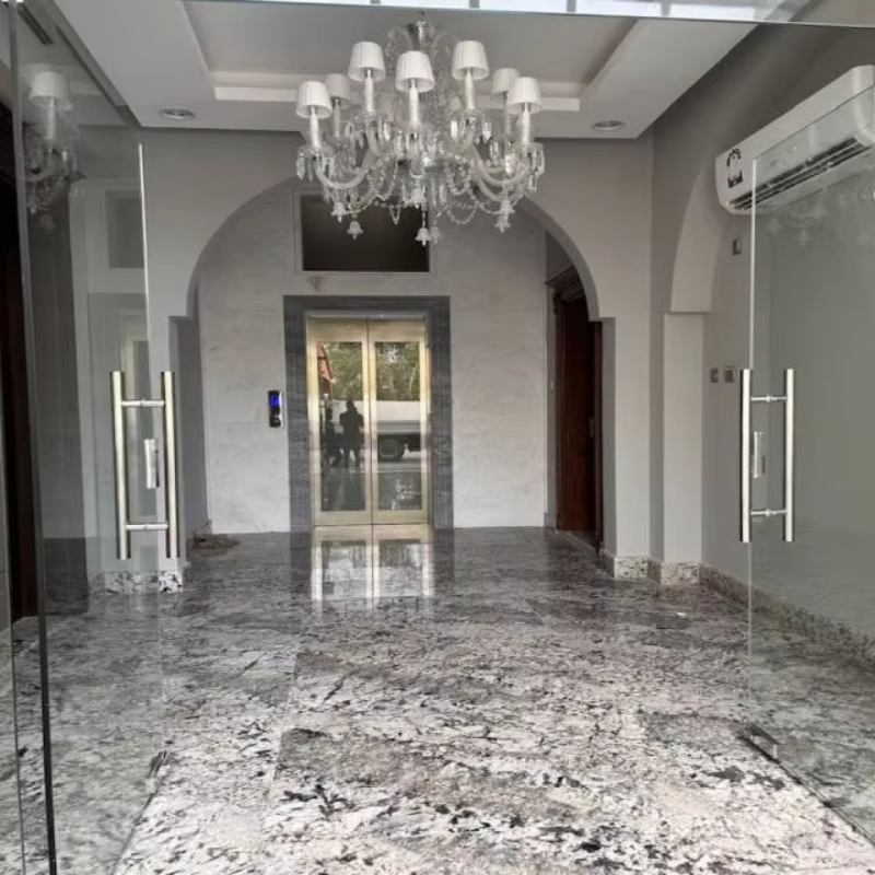 VTEV108 Ascensores Elevadores sigurno i pouzdano dizalo za vilu za ugradnju u obiteljsku kuću
