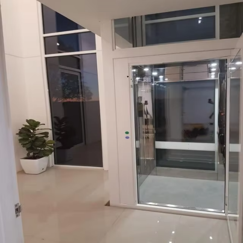 VTEV109 Ascensores Elevadores Elegantno stakleno dizalo za vilu za privatnu duplex kuću