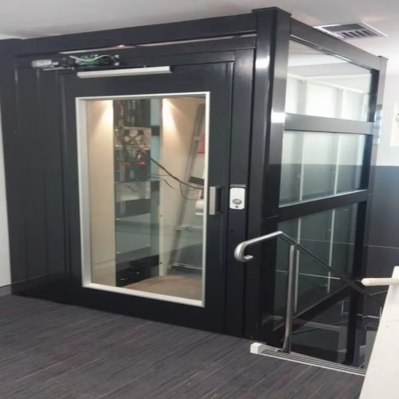 VTEV109 Ascensores Elevadores Elegantno stakleno dizalo za vilu za privatnu duplex kuću
