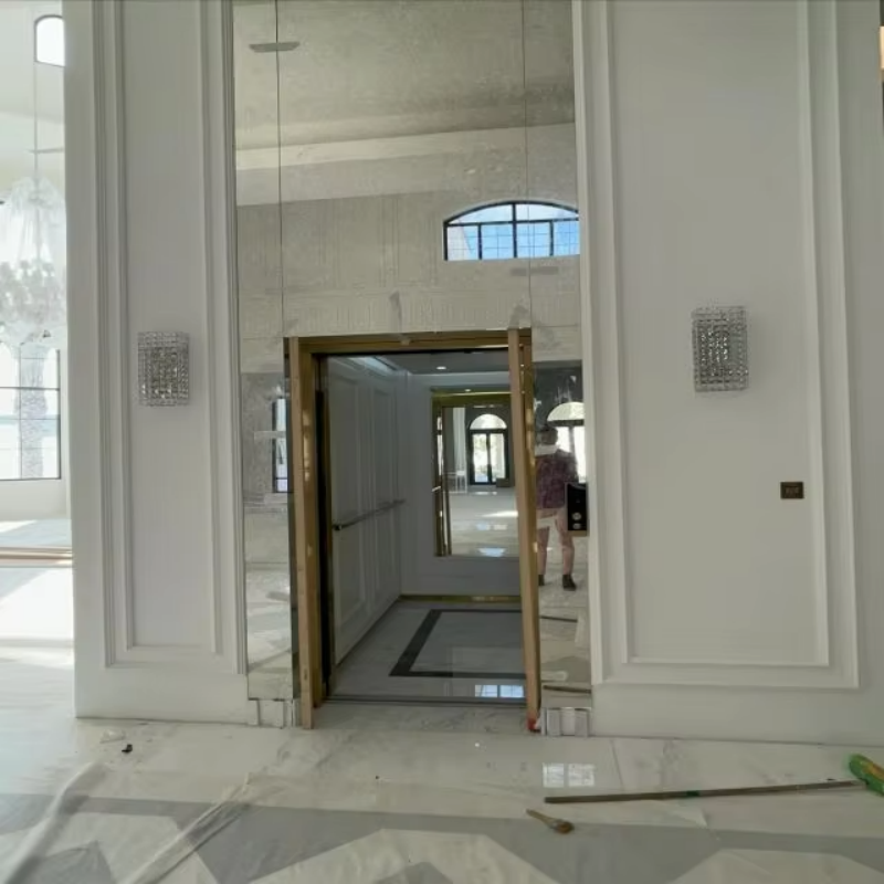 VTEV109 Ascensores Elevadores Elegantno stakleno dizalo za vilu za privatnu duplex kuću