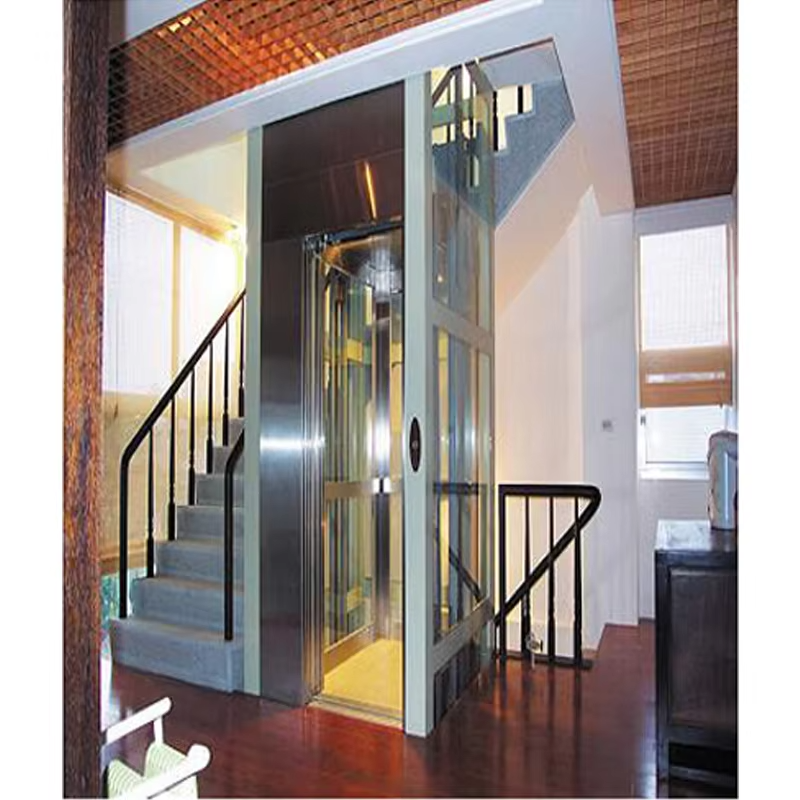 VTEV103 Ascensores Elevadores Smart Control Villa Lift za udoban kućni prijevoz