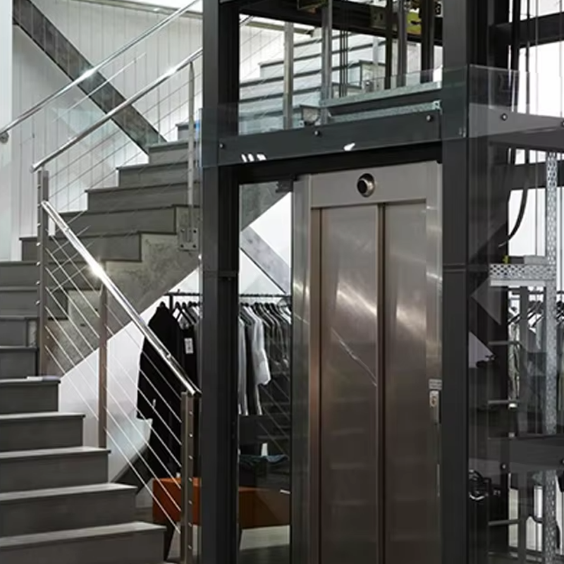 VTEV105 Ascensores Elevadores Prilagođeno dizalo za vilu u kabini za uređenje interijera