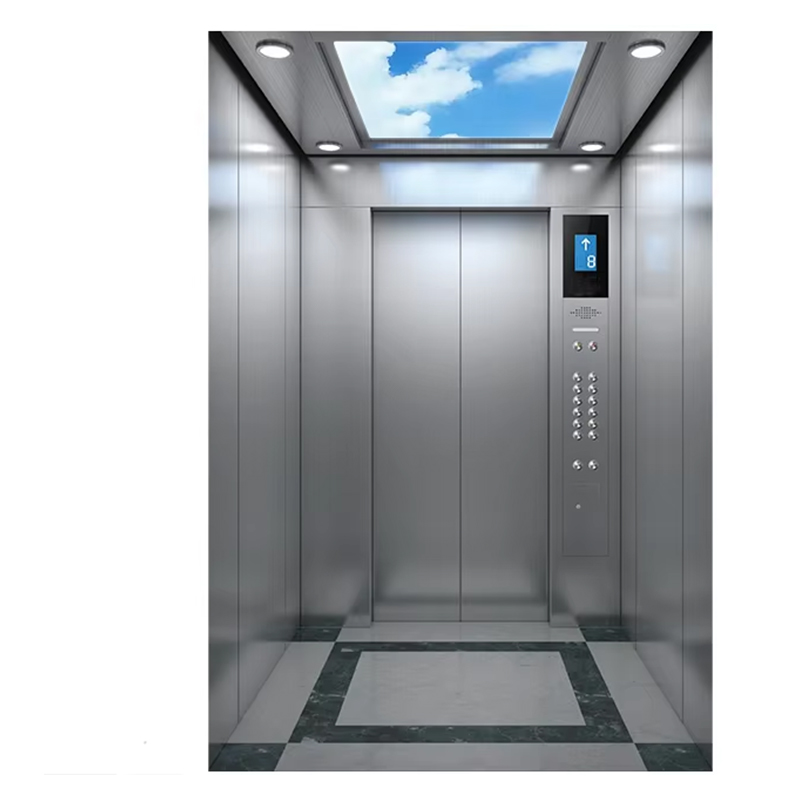 VTEP120 Stambena vila Putnički lift Panoramsko staklo Konstrukcija od nehrđajućeg čelika Sigurnosne značajke Veliki kapacitet
