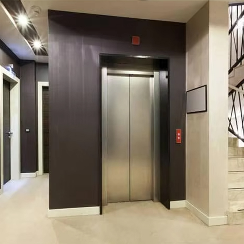 VTEP124 Kineska marka Proizvođač modernih putničkih dizala Visokoučinkovita dizala Hotelska upotreba PVC podova od nehrđajućeg čelika AC pogon