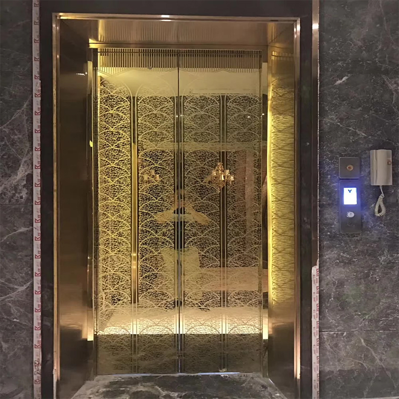 VTSP136 Dijelovi i pribor za dizalo Kabina za putnički lift s LED rasvjetom i vrhunskim ukrasom